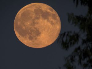 A full moon glitters during the shortest night of the year near Nagykanizsa, 208 kms southwest of Budapest, Hungary, late Monday, June 20, 2016. (Szilard Gergely/MTI via AP)/MTI202/16173288698046/1606211028